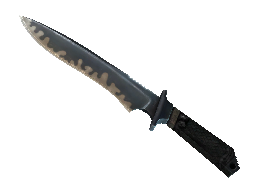 ★ knife | Classic Knife