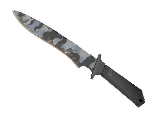 ★ Classic Knife | Arctic Camo
