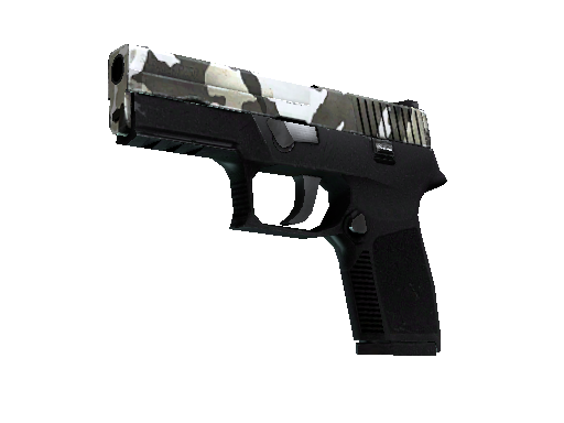 StatTrak™ P250 | Winter Camo