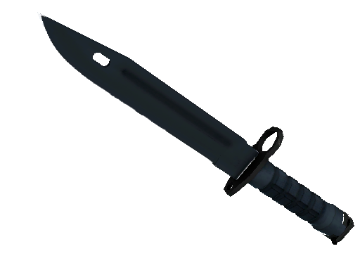 ★ StatTrak™ Bayonet | Night